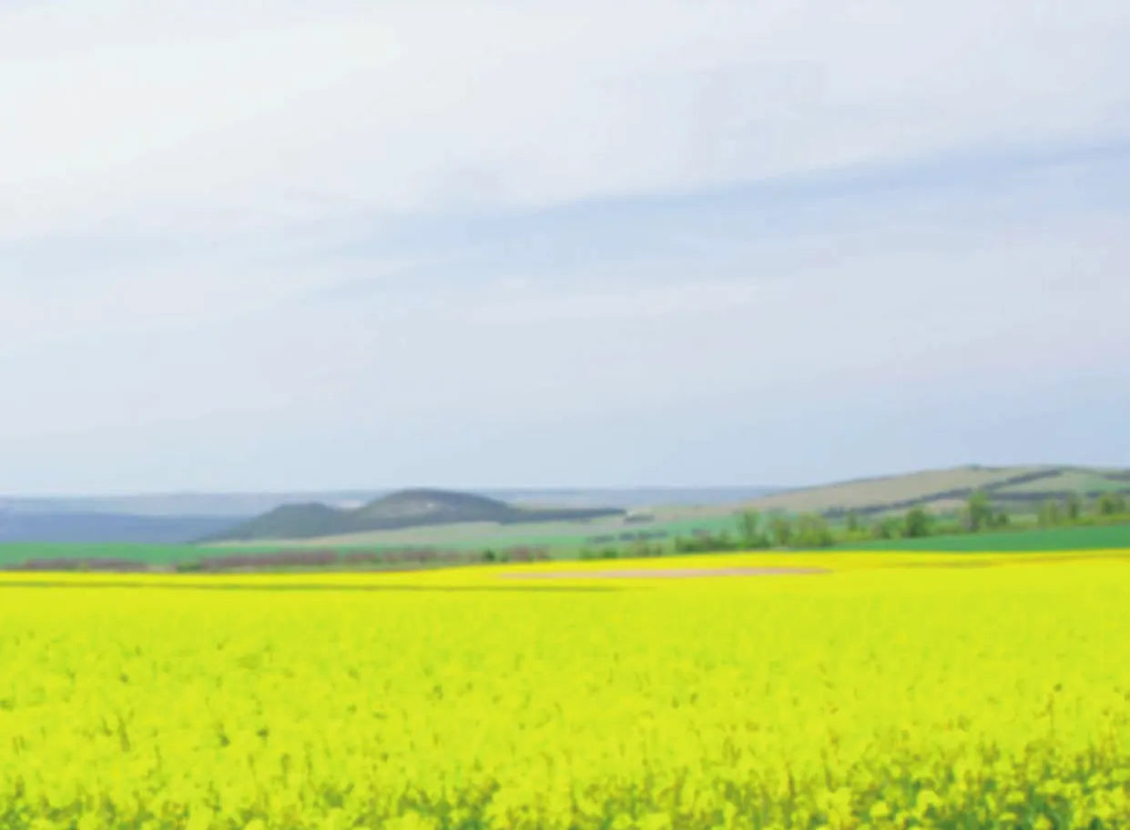 Growing Responsibly